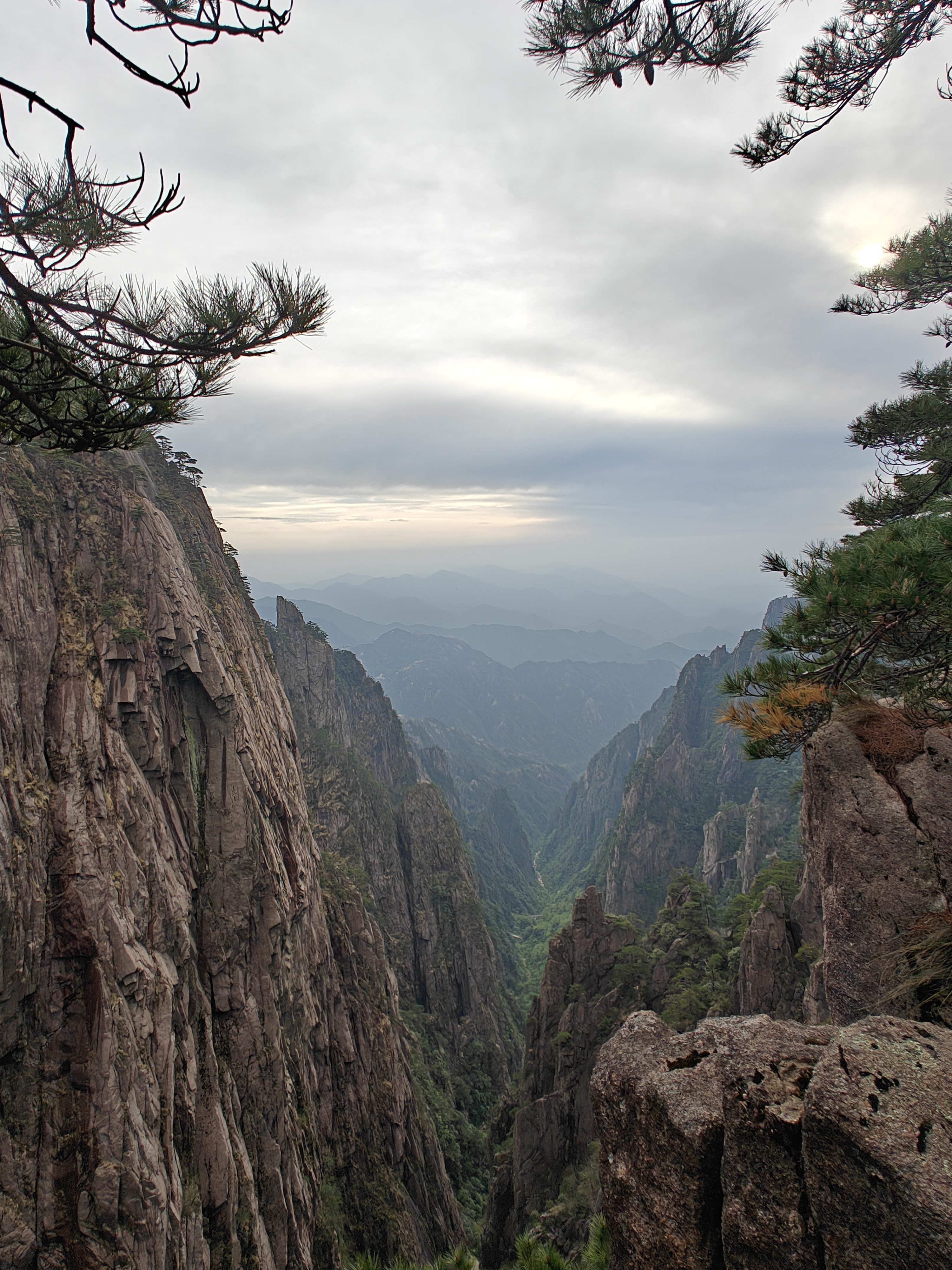 Pijnbomen Huangshan