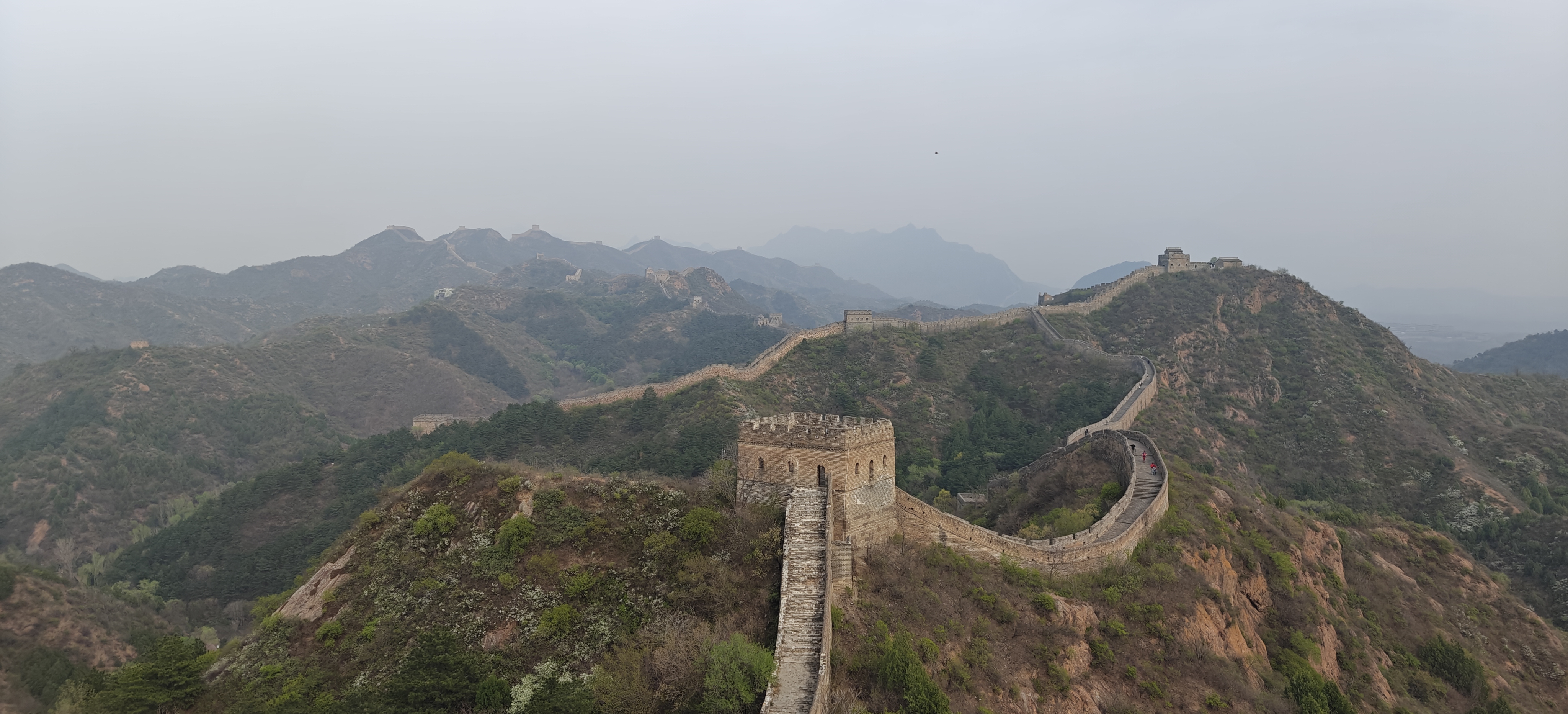 China reis